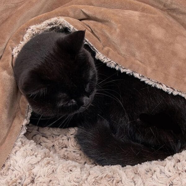 Cama redonda para gatos con funda