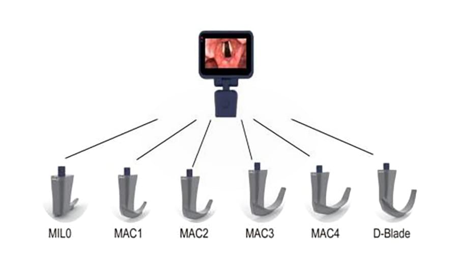 Videolaringoscopio veterinario