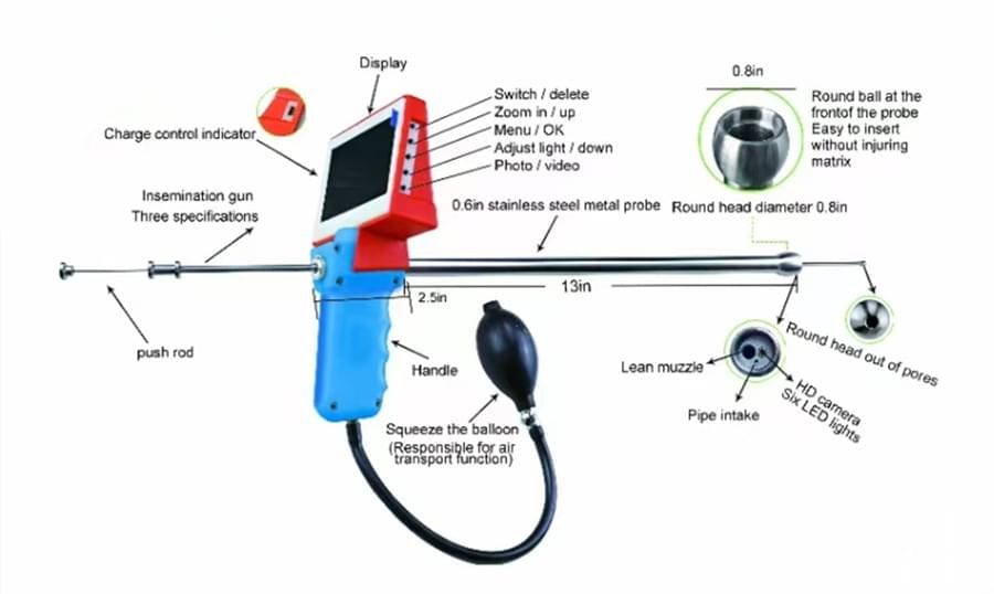 Pistola de inseminação artificial Visual Cow