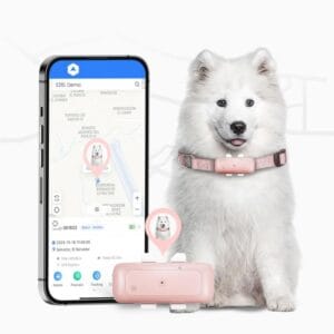 4G Rastreador GPS para Pets | Bateria de 7 Dias