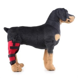 Köpek Arka Bacak Destek Ortezi | Yaralanma İyileşmesi İçin Diz Sabitleyici