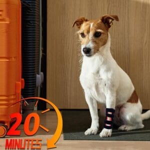 Dog Leg Red Light Therapy Wrap | Alívio da Dor nas Articulações