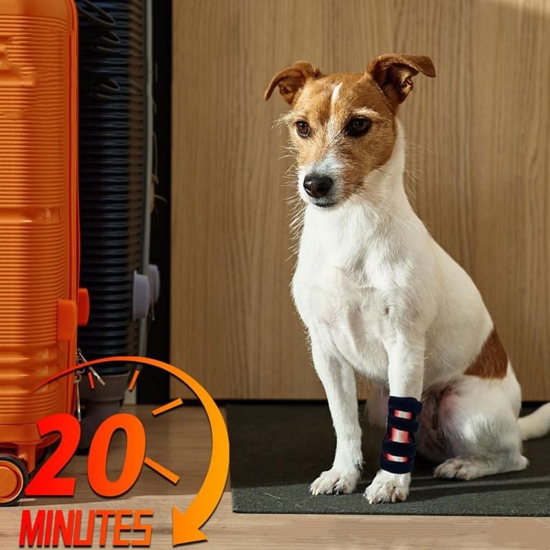 Dog Leg Red Light Therapy Wrap | Alívio da Dor nas Articulações