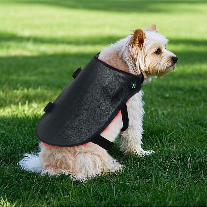 Almofada de Terapia de Luz Vermelha para Cães | Envoltório para Costas Canino com 384 LEDs