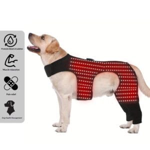 Colete de Terapia de Luz Vermelha para Cães | Controle de Temperatura Ajustável