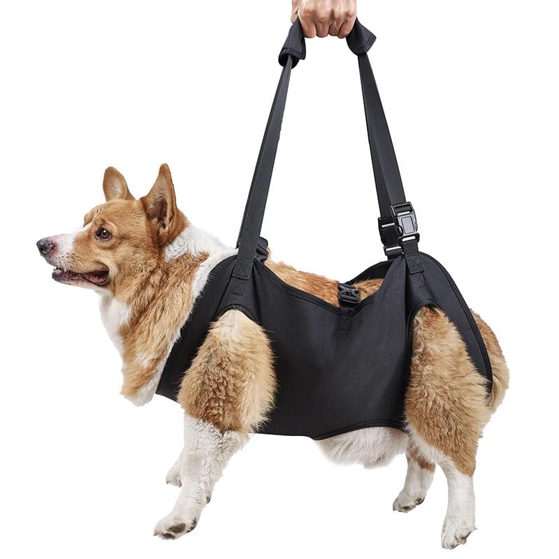 Tam Vücut Köpek Kaldırma Aparatı | Engelli Köpekler İçin Mobilite Desteği