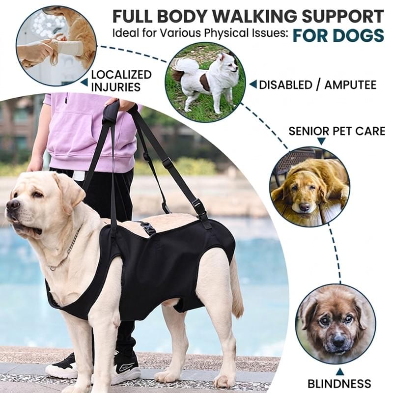 Tam Vücut Köpek Kaldırma Aparatı | Engelli Köpekler İçin Mobilite Desteği