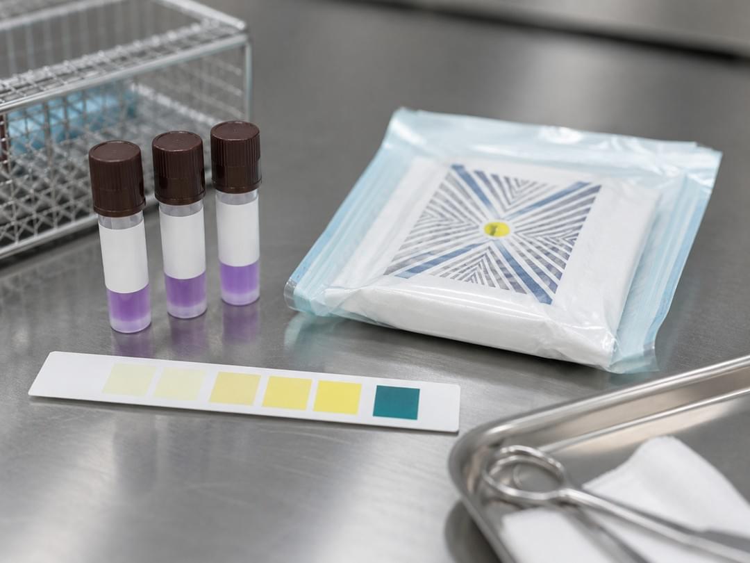 Veterinary autoclave Class B sterilization validation with biological indicators and chemical test strips for surgical suites