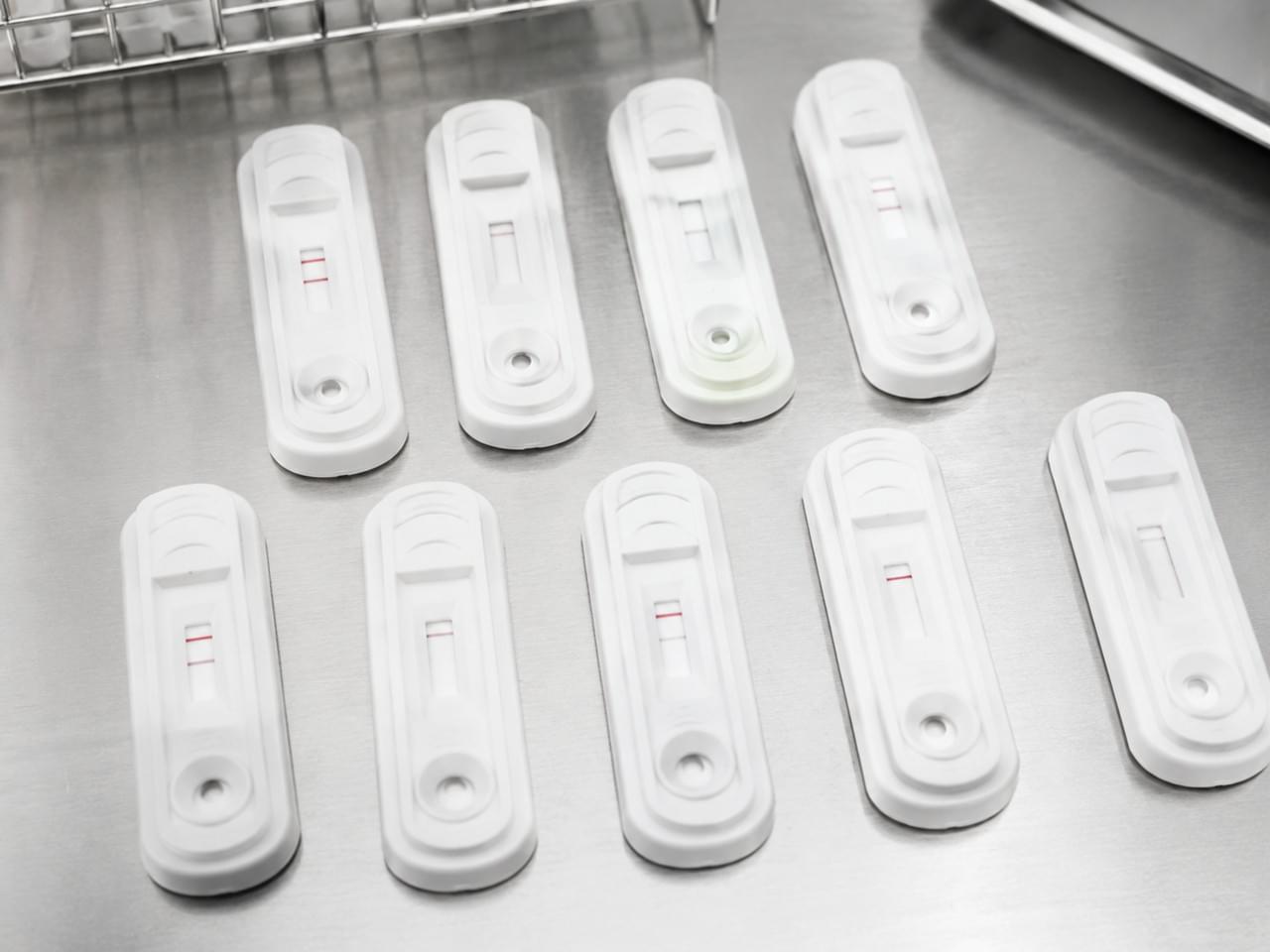 Veterinary point-of-care rapid diagnostic tests for daily practice including heartworm FIV FeLV parvovirus panels